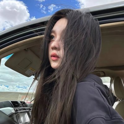 职业大贼